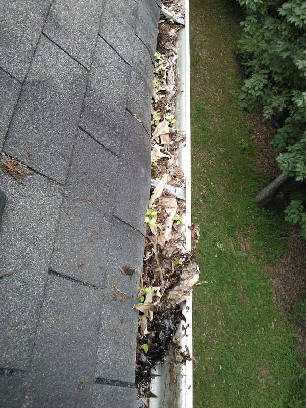 White gutter completely clogged with leaves and debris