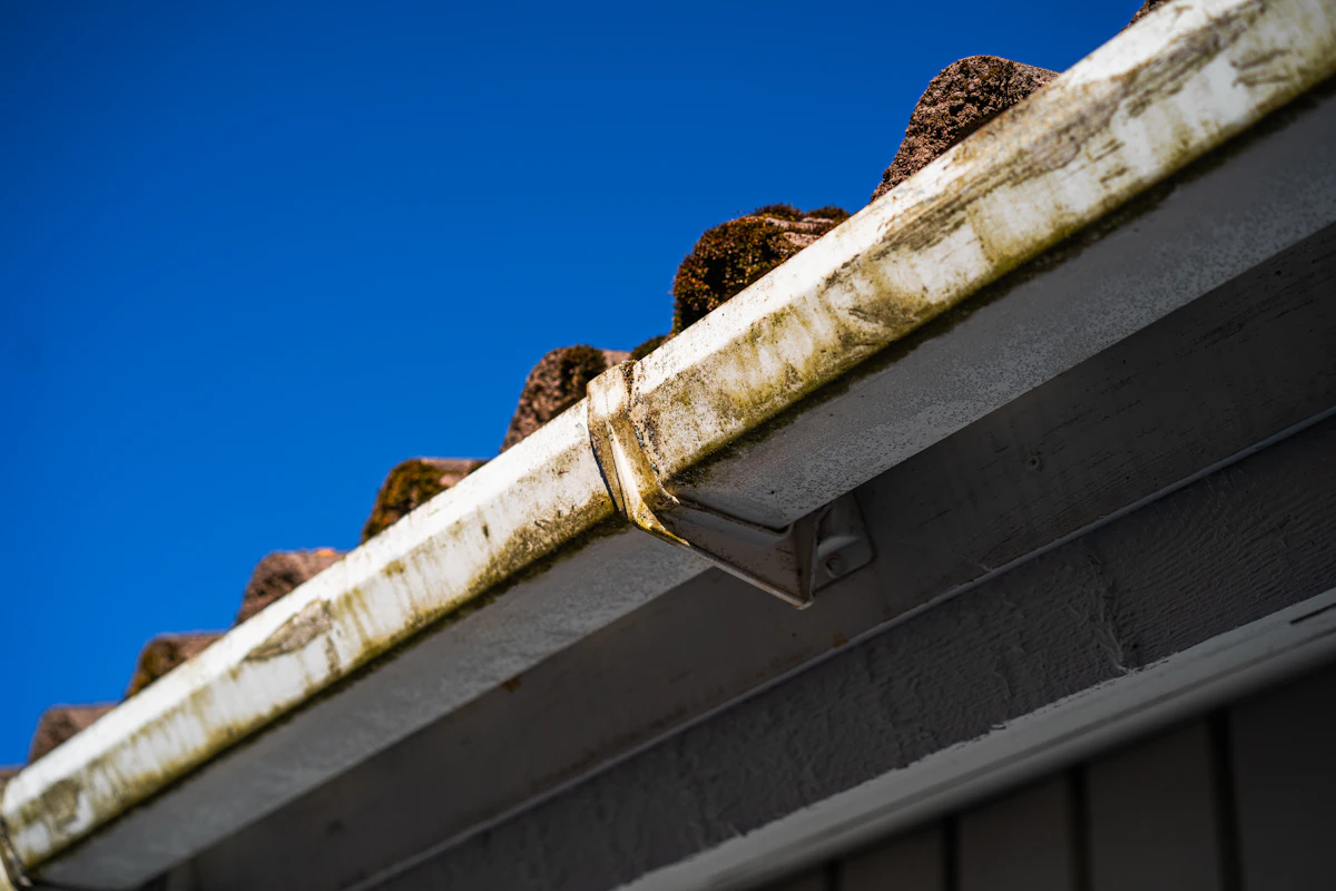 Aging white gutter with algae staining and moss growth at roofline